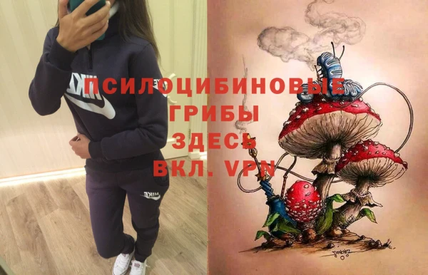дистиллят марихуана Тайга