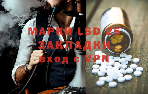 PSILOCYBIN Сясьстрой