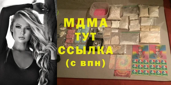 твердый Богданович